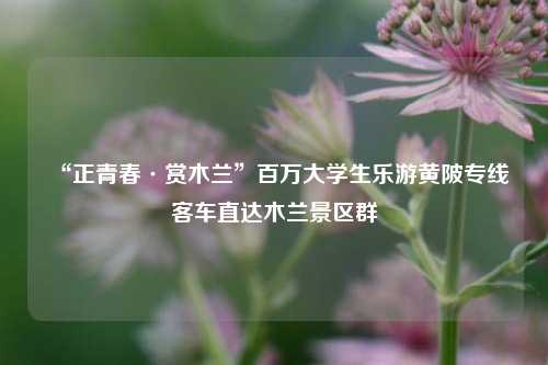 “正青春·赏木兰”百万大学生乐游黄陂专线客车直达木兰景区群