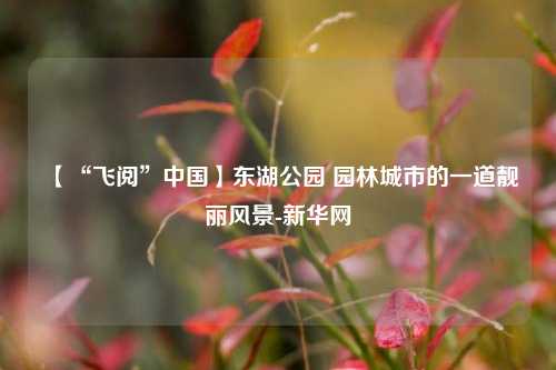 【“飞阅”中国】东湖公园 园林城市的一道靓丽风景-新华网