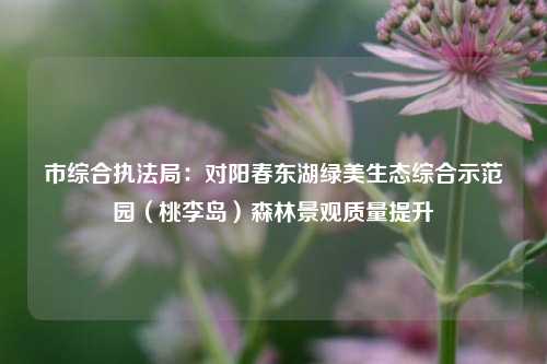 市综合执法局：对阳春东湖绿美生态综合示范园（桃李岛）森林景观质量提升