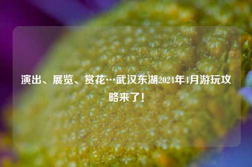 演出、展览、赏花…武汉东湖2024年4月游玩攻略来了！