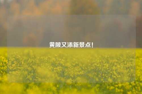 黄陂又添新景点！